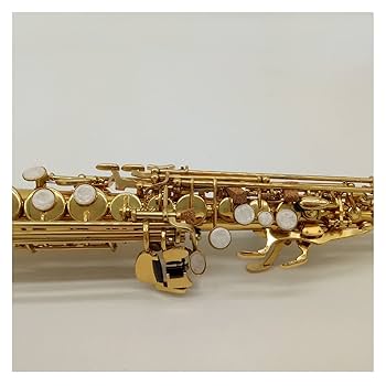 Amazon.co.jp: キータイプ木管楽器 ソプラノサックスシルバーB